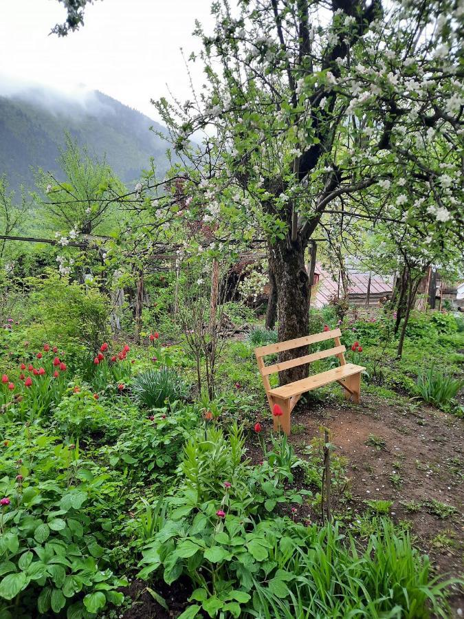 Bochora Holiday home Borjomi
