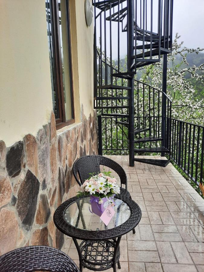 Holiday home Bochora Borjomi